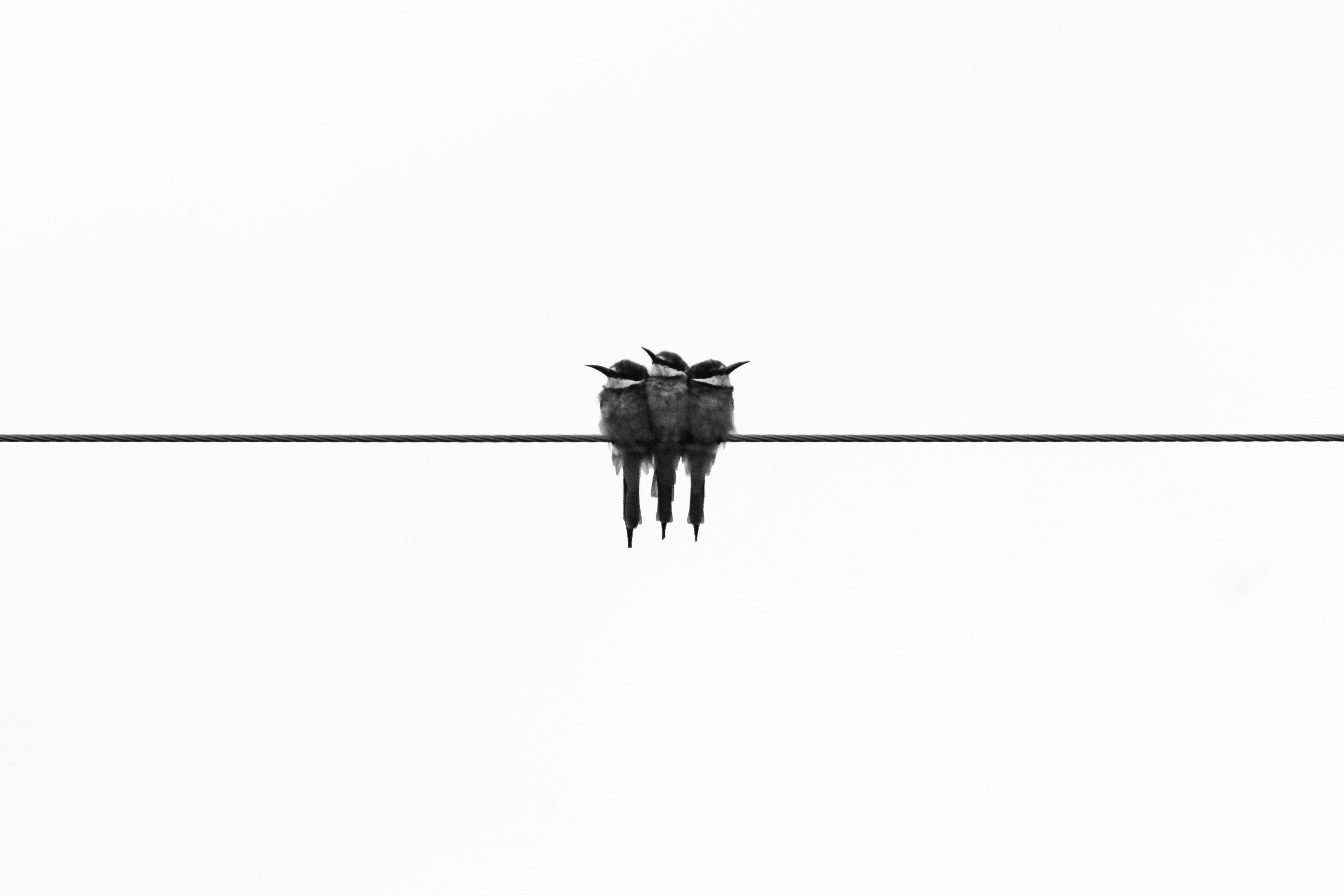 Le minimalisme financier : une voie vers une vie épanouie